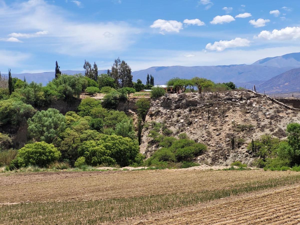 Casa De Campo Huaka Huasy Качи Экстерьер фото
